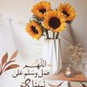النجدي 的头像