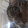 Profilbild von wen
