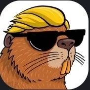 WSB_redditor's profile picture