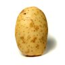 Chipdunker 的头像