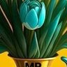 Sparkle of eyes's profile picture