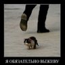 Аська обязательно выживет 的头像