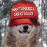 Profilbild von Wolfismyname
