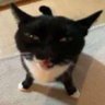 SinisterQSP's profile picture