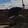 206briefs's profile picture
