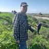 shlomo ben-shafrut's profile picture