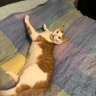 Betty's profile picture