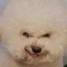 Tpatagonia's profile picture