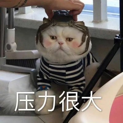 西(男士沉浸式SPA鸭)'s profile picture