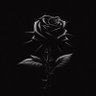 ⛈'s profile picture