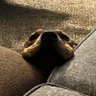 Discernment Required's profile picture