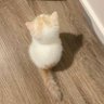 Сол's profile picture