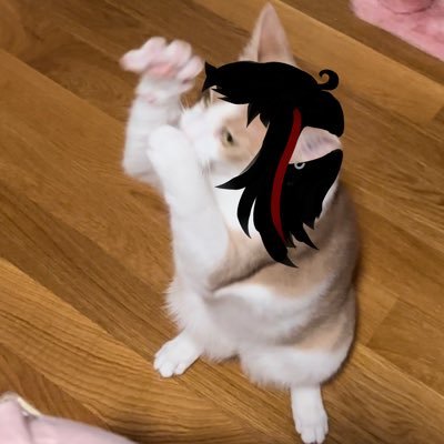S0ti3's profile picture
