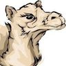 FPL_Dromedary 的头像