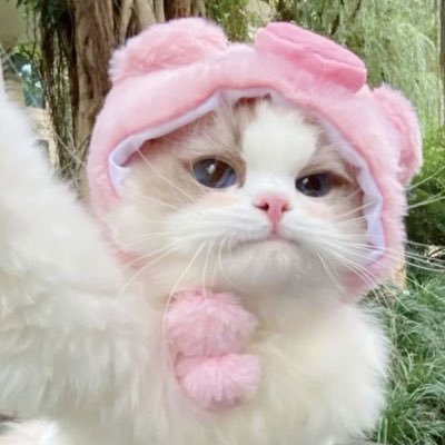 poppc_'s profile picture