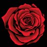 Albert E Oater's profile picture