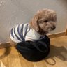 Tsuki_(:3」z)_'s profile picture