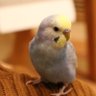 nami profil fotoğrafı