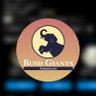 Bush Giants's profile picture
