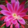 Фото профиля Sewasi Oto