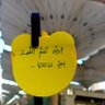 فدويه💛 的头像