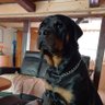 MaLe's profile picture