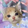 Daphne's profile picture