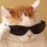RealSuke's profile picture