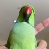 Profilbild von olami