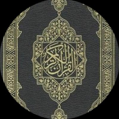 MohemmedAlkurdi's profile picture
