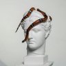 Serpentine profil fotoğrafı