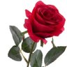 💜María💜 ✵🌹's profile picture