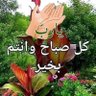 aboudd's profile picture