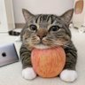 Profilbild von alex