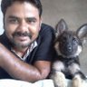 Sanjay Saini 的头像