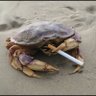Bot_32's profile picture