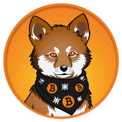 LOBO•THE•WOLF•PUP's profile picture