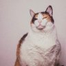 monstro da dopamina profil fotoğrafı