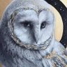 Profilbild von đïžFreeWings