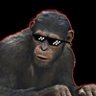 Profilbild von HSR