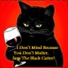 Black Catter.'s profile picture
