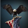 Patriot4life 的头像