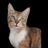luna profil fotoğrafı