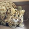 ドヤコンガ profil fotoğrafı