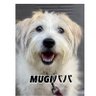 MUGIパパ👻's profile picture