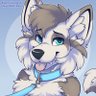 Snowy The Floofy Folfy 的头像