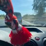 1904❤️🦅's profile picture