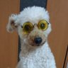 Profilbild von やっちくん