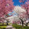 Фото профиля Judith Stephen