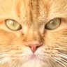 Profilbild von StcnNN